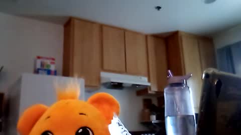 Snapshot of salis1981 chatting on February 19, 2026, 12:39 am salis1981 online show from February 19, 2026, 12:39 am