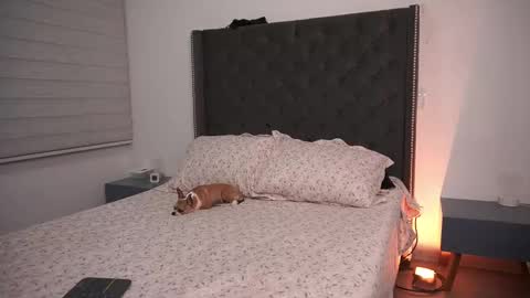 Snapshot of salomedyla chatting on March 19, 2026, 11:53 pm salomedyla online show from March 19, 2026, 11:53 pm