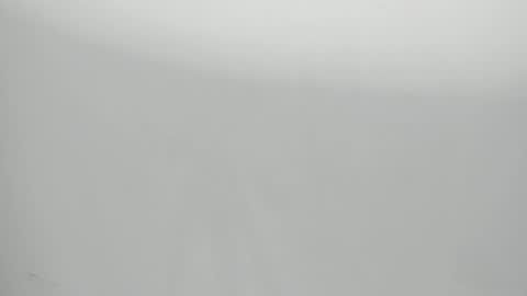 SALVATORE online show from January 29, 2025, 11:09 am