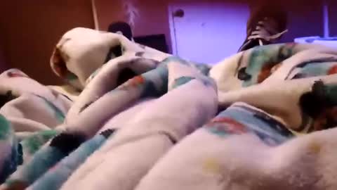 Snapshot of sam44444446 chatting on November 27, 2025, 9:22 am sam44444446 online show from November 27, 2025, 9:22 am