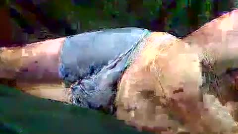 Snapshot of sam5554401727 chatting on November 10, 2025, 6:40 pm sam5554401727 online show from November 10, 2025, 6:40 pm