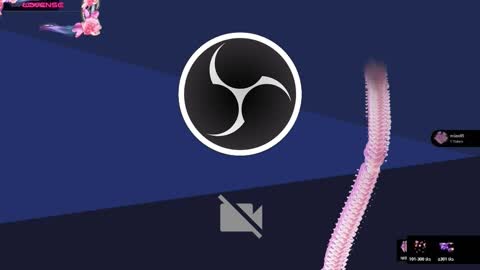 Samanta Rave online show from November 26, 2025, 11:44 am