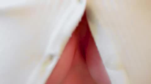 Andy online show from October 17, 2025, 12:30 pm