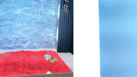 Snapshot of samantha_venus1 chatting on February 11, 2025, 2:02 pm Samantha online show from February 11, 2025, 2:02 pm