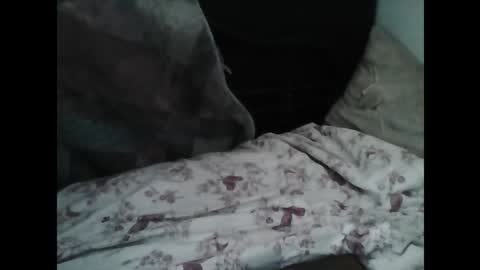 Snapshot of samedisamedi1nouveau chatting on March 7, 2026, 10:12 am Samedisamedi1nouveau online show from March 7, 2026, 10:12 am