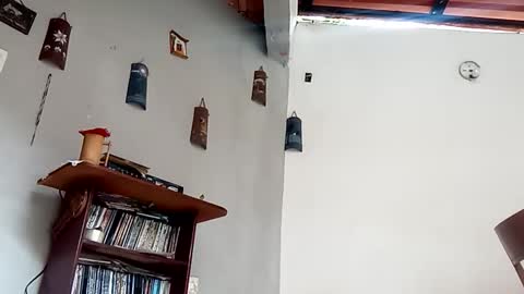 Snapshot of samigelalcangel chatting on December 1, 2025, 12:32 pm samigelalcangel online show from December 1, 2025, 12:32 pm