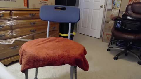 Snapshot of sammyduz2 chatting on November 3, 2025, 2:29 pm Sammy online show from November 3, 2025, 2:29 pm