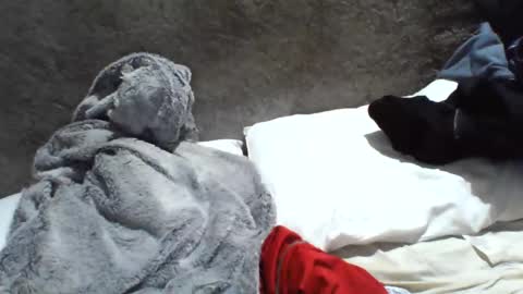 samuel987017 online show from December 20, 2024, 6:08 am