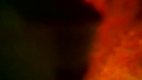 samueltal online show from October 14, 2025, 9:15 pm