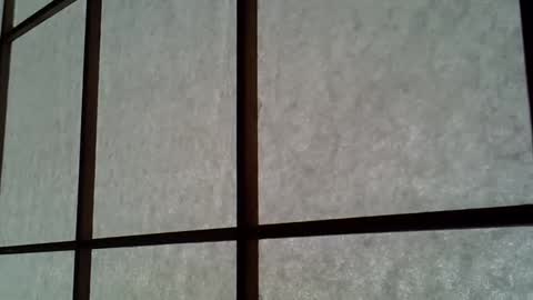 ssk online show from April 11, 2026, 4:50 am