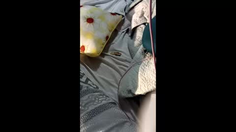 ShynNkd online show from February 12, 2026, 8:09 am