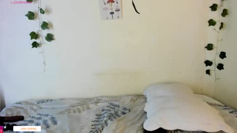 sara sofia online show from December 18, 2024, 4:09 am