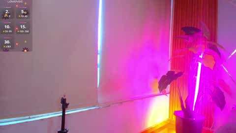 sasha_gracee_ online show from April 8, 2026, 1:00 pm