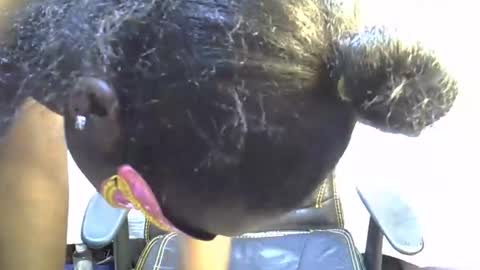 Snapshot of sasha_sexy769 chatting on November 15, 2025, 7:10 pm sasha_sexy769 online show from November 15, 2025, 7:10 pm