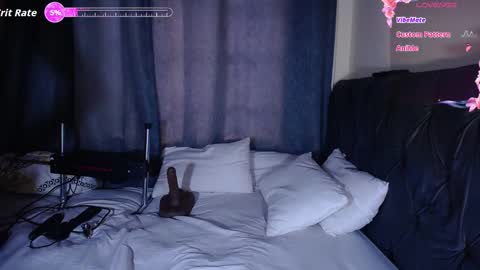 Snapshot of sashaharding1125 chatting on January 8, 2026, 7:16 pm andrea harding online show from January 8, 2026, 7:16 pm