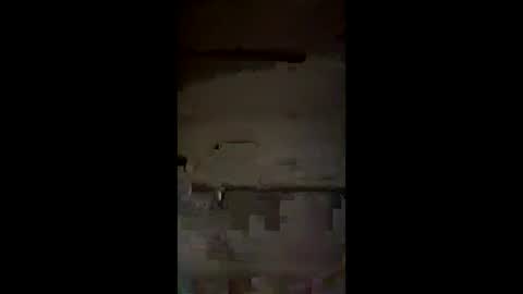 Snapshot of saucysissyuk46 chatting on March 3, 2026, 1:56 am saucysissyuk46 online show from March 3, 2026, 1:56 am