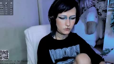 Snapshot of say_mary chatting on October 30, 2025, 3:46 pm pronoun she. name Mary. age 21. online show from October 30, 2025, 3:46 pm