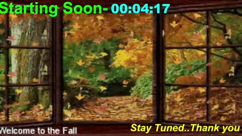 Snapshot of scifidiscoguy chatting on September 11, 2025, 12:11 am ...PHIL... online show from September 11, 2025, 12:11 am