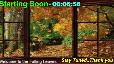 Snapshot of scifidiscoguy chatting on November 10, 2025, 1:04 am ...PHIL... online show from November 10, 2025, 1:04 am