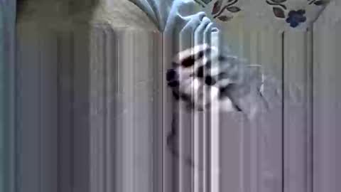 scorpion35hb online show from January 18, 2026, 5:28 pm