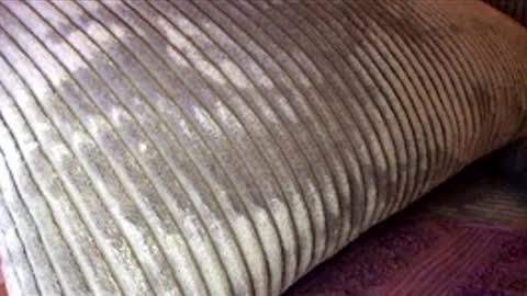 Snapshot of scotty2hotty46_ chatting on February 21, 2026, 5:41 am scotty2hotty46_ online show from February 21, 2026, 5:41 am