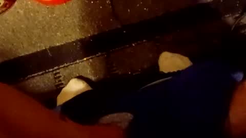 scruples99273286 online show from October 5, 2025, 8:34 am