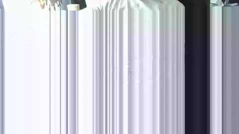 ScSnake online show from January 6, 2025, 6:10 pm