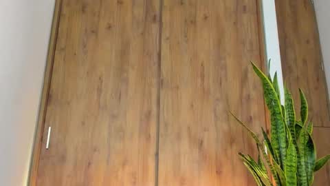 sebastian online show from February 3, 2026, 1:26 am