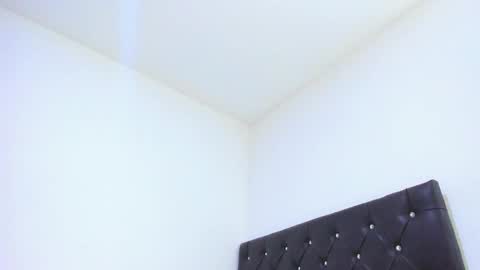 Snapshot of sebastian_dash chatting on February 6, 2025, 6:29 am SEBAS online show from February 6, 2025, 6:29 am