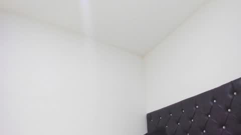 Snapshot of sebastian_dash chatting on February 26, 2025, 1:21 am SEBAS online show from February 26, 2025, 1:21 am