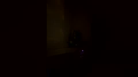 Snapshot of secret_siren_goddess chatting on June 2, 2026, 3:52 am secret_siren_goddess online show from June 2, 2026, 3:52 am