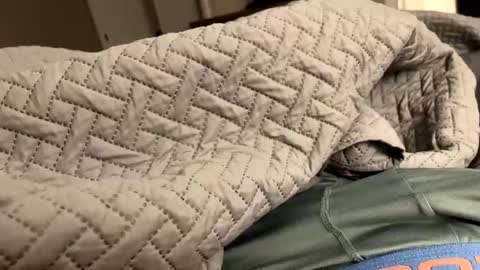 Snapshot of secretlyseductive9399 chatting on December 8, 2024, 1:14 pm secretlyseductive9399 online show from December 8, 2024, 1:14 pm