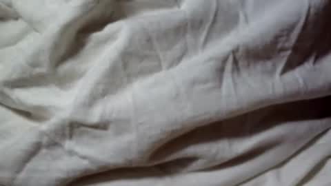 Snapshot of seeus24 chatting on February 22, 2025, 8:29 am seeus24 online show from February 22, 2025, 8:29 am