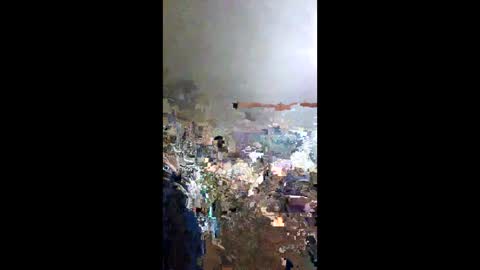 senor49509 online show from January 25, 2025, 3:51 am