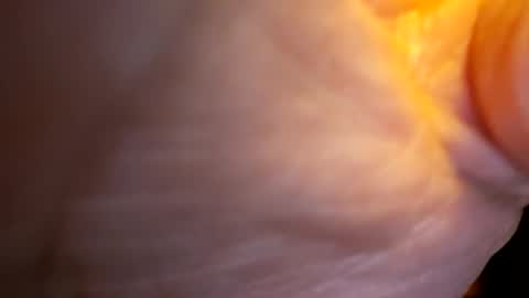 senor49509 online show from November 27, 2025, 2:02 am