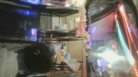 sequoia8888 online show from October 29, 2025, 7:26 pm