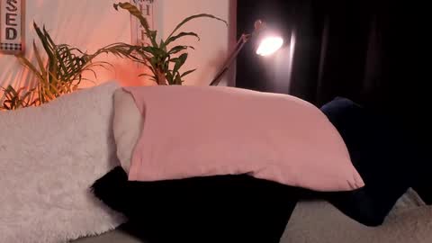 Serenity online show from January 29, 2025, 11:14 pm