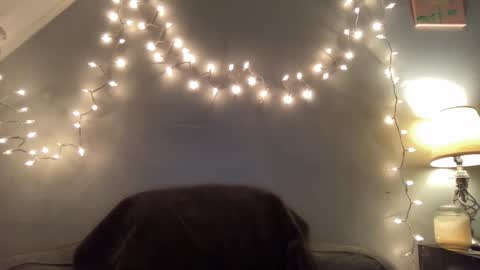 Seroc online show from March 9, 2025, 11:46 pm