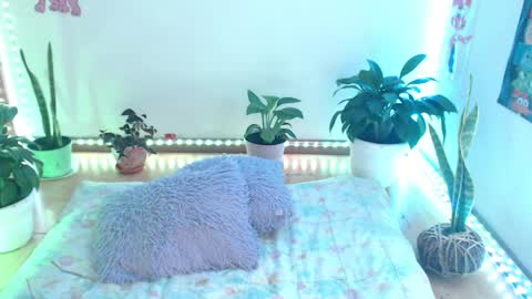 samy online show from April 10, 2026, 2:06 am