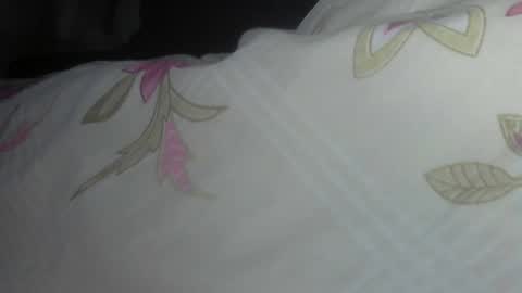 Snapshot of sexmanmaster chatting on January 11, 2025, 2:52 am Sapik online show from January 11, 2025, 2:52 am