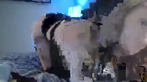 Snapshot of sexxileeah chatting on January 25, 2025, 4:23 am sexxileeah online show from January 25, 2025, 4:23 am