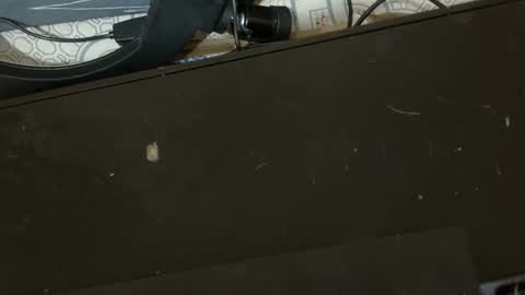 Snapshot of sexy_candy9 chatting on February 11, 2026, 8:52 am sexy_candy9 online show from February 11, 2026, 8:52 am