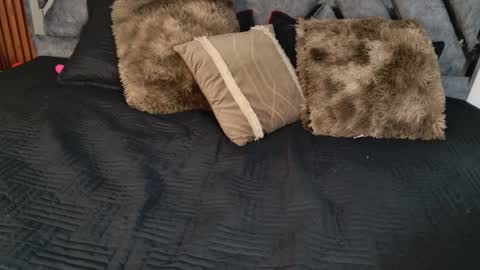 Dafne online show from April 6, 2026, 10:49 am