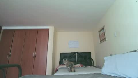 Alice Skay online show from July 27, 2026, 2:24 pm