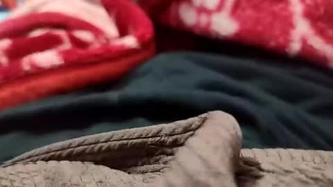 Snapshot of sexyd9913 chatting on December 1, 2024, 5:35 pm Sexyd online show from December 1, 2024, 5:35 pm