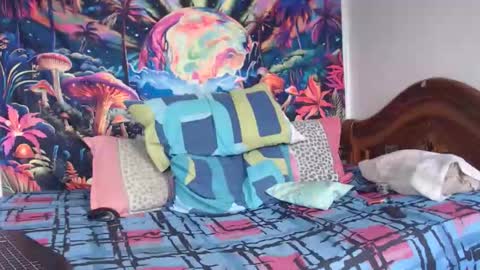 Snapshot of sexydarkhunter2 chatting on January 14, 2026, 4:56 pm Mike online show from January 14, 2026, 4:56 pm