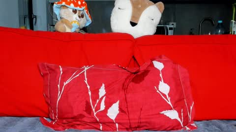 Ari online show from December 16, 2024, 5:11 pm