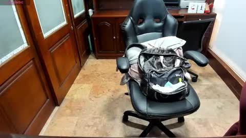 R A C H E L online show from November 10, 2025, 12:04 pm