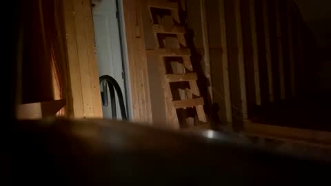 Snapshot of sexytsmstars chatting on February 8, 2026, 7:01 am Smooth bi guy online show from February 8, 2026, 7:01 am