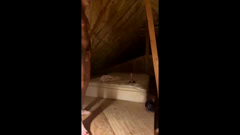 Snapshot of sexytsmstars chatting on March 7, 2026, 8:11 am Smooth bi guy online show from March 7, 2026, 8:11 am